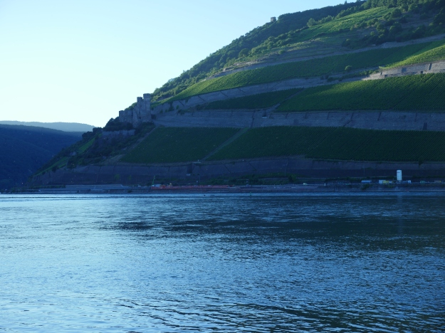 Lower Rhine Valley near by Bingen